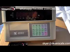 Yaohua XK3190-A9 Weighing Scale Indicator Digital LED Indicator For Truck Scale / Weighbridge