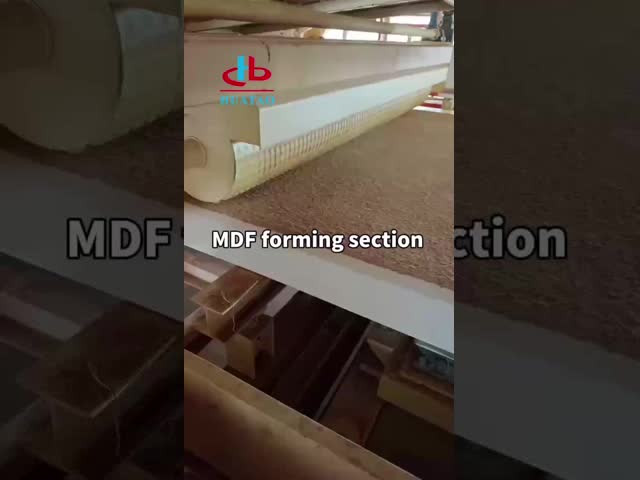 OSB 製造ラインのための木材の長型帯