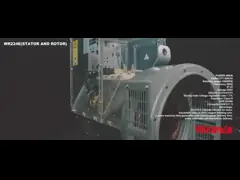 Eenfasige draagbare dieselac-generator 20kw 50hz 110 240V SX460 AVR met SASO-certificaat