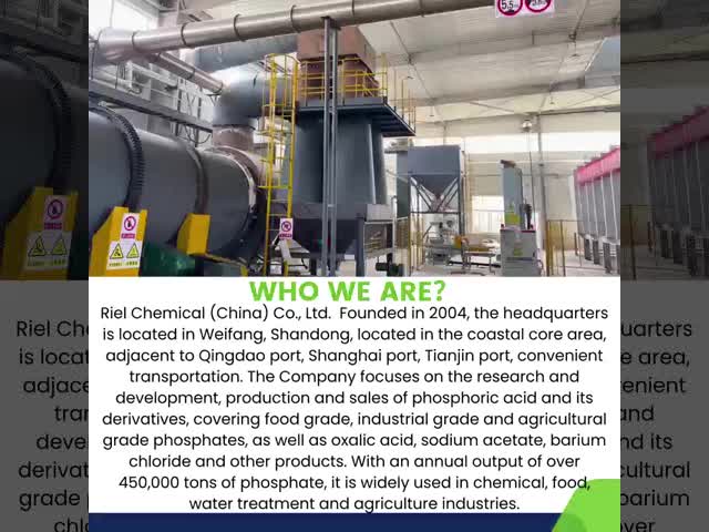 Company introduction