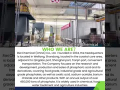 Company introduction