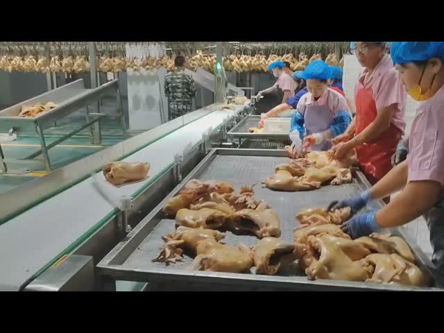 Металлоискатель трубопровода для пищевой промышленности, чувствительности 0.5ММ