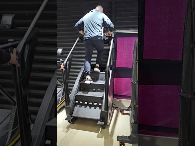 ステンレス フィットネス 電気駆動のクライマー 階段マスター ステップミル クライミング