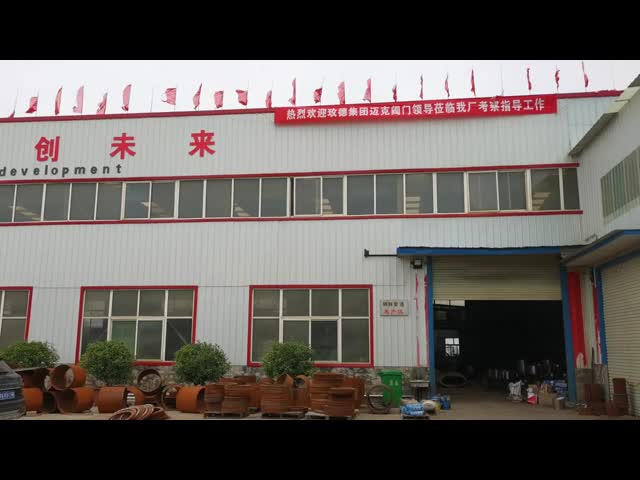 Non Metallic Expansion Joint Bspt Threaded Joint Twin Sphere Expansion Joints Manufacturers