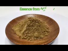 পাইকারি 100% প্রাকৃতিক ওজন হ্রাস পাউডার লোটাস পাতার নিষ্কাশন পাউডার 10:1 খাদ্য গ্রেড
