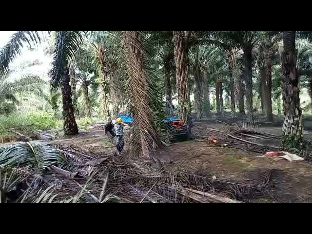 trator do óleo de palma da distância entre o eixo dianteira e traseira de 2150mm com capacidade agrícola do depósito de gasolina do pneu 11L