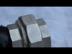 Stainless Steel Screwed Union Bspt Threaded Expansion Joint Rubber Thermal Expansion Joint