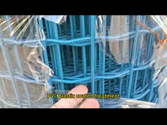 Custom PVC Plastic Coated Welded Wire Mesh For Fence Electro Galvanized
