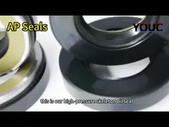 NBR/FKM Materiaal Hydraulisch Mechanisch Oliezegel / AP SEALS / Rubber Oliezegel