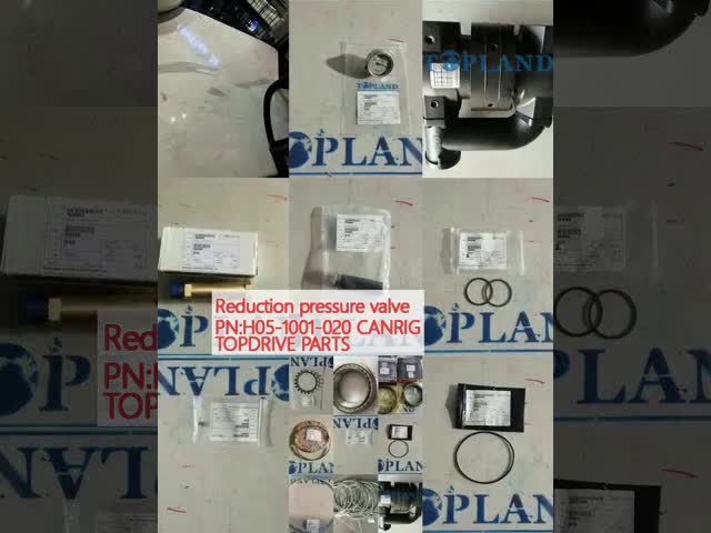 CANRIG Top Drive System Components Reduction Pressure Valve PNH05-1001-020