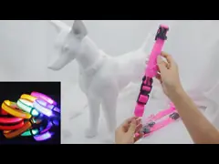 LED hondenkraag waterdicht flitsend licht op nacht lopen verstelbaar USB oplaadbaar