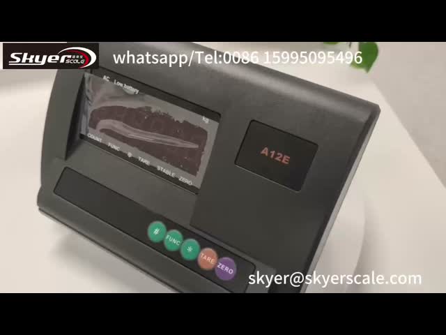 LEDプラスチック ケースが付いている電子XK3190 A12Eデジタルのスケールの表示器