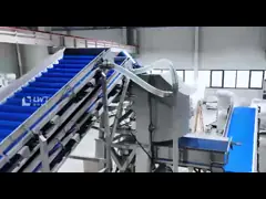 Pre-prepared Food Production Line Fully Automatic Ready-to-eat Food Processing Equipment