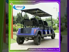 6 sièges voiture de chasse électrique 48V pour hôtel avec des options personnalisables pour répondre aux exigences des clients