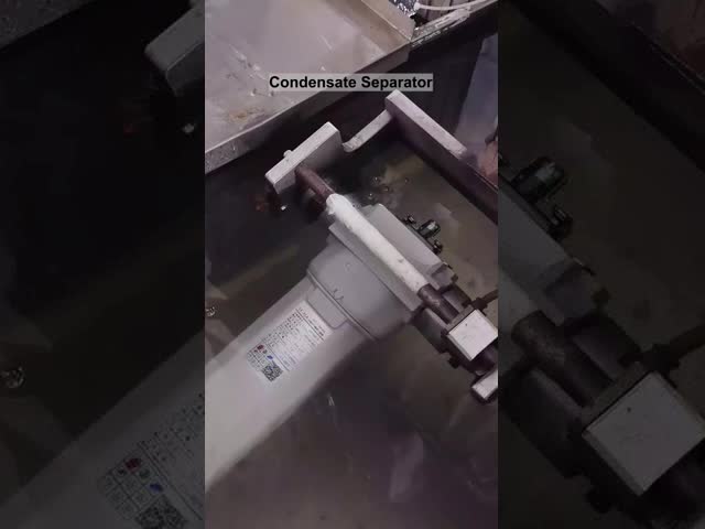 空気フィルター 自動排水付き水分分離器