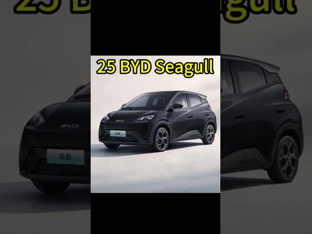 2025 BYDシーガイル 改良されたインテリジェント運転 改良された安全配置 より多くの機能と安価