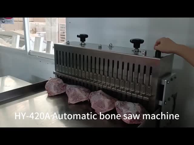 O SUS 304 osso industrial da carne de 3 fases viu a máquina com correia transportadora
