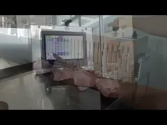 Voll-automatischer Knochensägemaschinefleischknochenfräseredelstahl-Fleischknochen sah Maschine TJ-420A