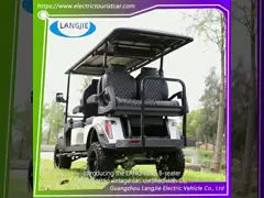 6 places 48V5KW voiture de chasse électrique Bonne capacité d'escalade Capacité de design classique Chariot de golf électrique avec CE