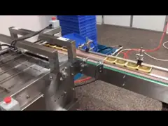 Fast Food Vacuum Tray Sealer Machine Takeaway Container Packaing Low Residual Oxygen
