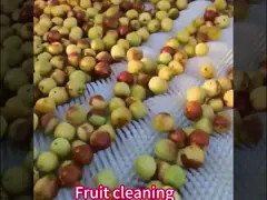 Custom 0.3mm-0.5mm Silk Nylon Roller Brush With / Without Shaft For Potato Peeling Industrial Machine