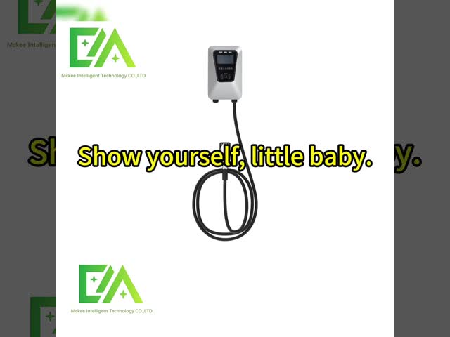 Home 22KW Silver Wall-Mounted Electric Vehicle Charger EV GBT 7KW 11KW Electric Vehicle Charging Station