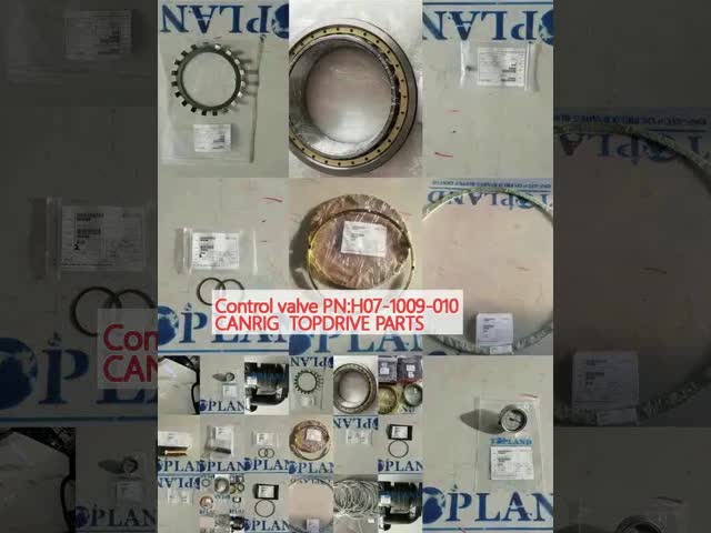 Control Valve H07-1009-010 Canrig Top Drive Repalcement Parts