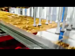 Sushi Tray Restaurant Disposable PP Cake Salad Fruit Plastic Food Packaging Container Box