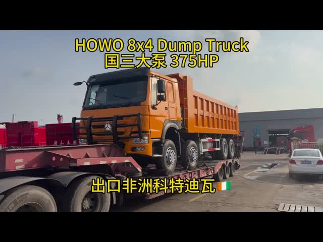 SINOTRUCK カメルーンにおける8X4のダンプトラック 375 マルチメディアシステム付きのターパートラック