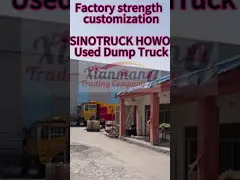 Manuale 10 ruote Sinotruk Dump Truck 351 450hp 20 metri cubi utilizzati con 2 cambio inverso