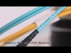 Patch Cord MTP-LC Multi Mode OM3 OM4 8/12/24 Cores  2.0mm Fiber Optic Patch Cord