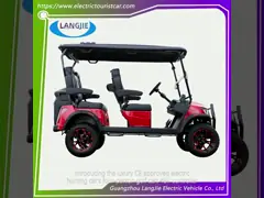 Mobil Berburu Listrik CE Disetujui 4 Orang Golf Cart 48v Controller Untuk Taman Bandara