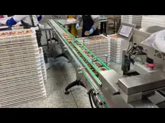220V/380V Stainless Steel Automatic Food Tray Sealing Machine For Fastfood