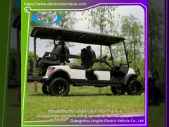 6 passagers voiture de chasse électrique mini-bus alimenté par batterie avec système de courant alternatif 48V