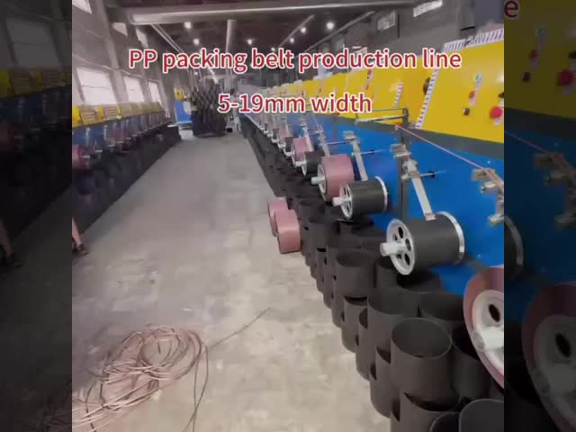 機械ポリプロピレンPPの革紐の押出機を作る革紐を詰める250kg/H PP