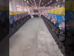 Plastic Extruder Packaging Tape Equipment PP Strapping Tape Production Line PP Strapping Tape Equipment With 5-19mm