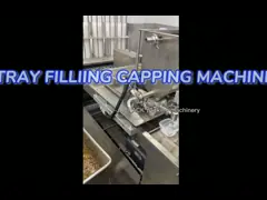 Cardboard Meal Tray Packing Machine OEM/ODM Acceptable