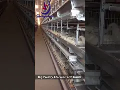 Ceinture de collecte d' œufs brosse propre pour la volaille couche poule cage video