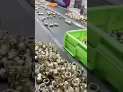 Brass Pex Compression Fittings For Pex Multilayer Water Pipe ISO 9001/9002