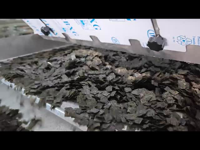 Dried Seaweed Plate automatic AI color sorting machine, equipped with a precise camera, used for product sorting