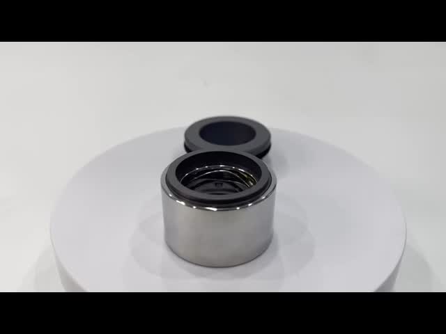GEA ヒルゲ メカニカルシール 25MM 30MM 衛生用ポンプ用 GEAポンプ