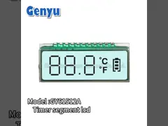 TN Segment Custom LCD Screen 2 Colors LED Backlight For Temperature Gun