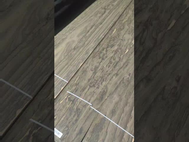 Mexican Ebony
