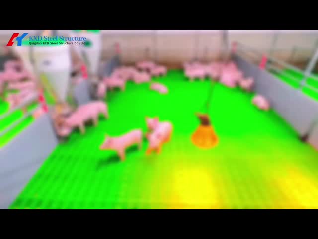 鉄鋼構造 鶏飼育棚 プリファブリック 軽鋼枠 豚屋