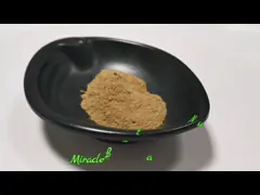 Natural Eurycoma Longifolia Extract 1% Eurycomanone Tongkat Ali Extract Powder