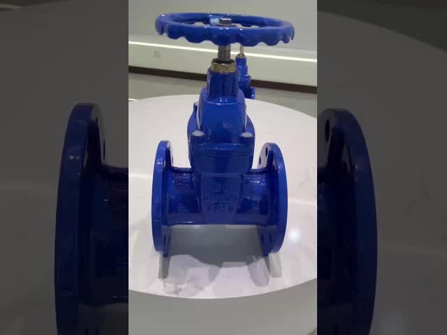 BS5163 産業用不上昇型ステムメタルシールゲートバルブ