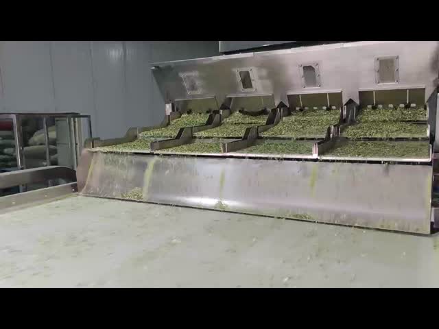 High Capacity Color Sorter for Chopped Dried Scallion Sorting