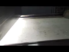 High Capacity Color Sorter for Chopped Dried Scallion Sorting