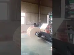 Epc Auto EPC Flex Printing Machine with Max.Web Width of 1120mm