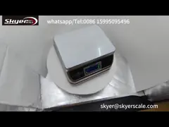 Waterproof  IP68 Class Weight Scales 15kg  Capacity